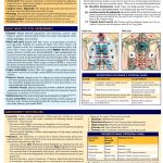 LPN & LVN Nursing Study Guide by QuickStudy Reference Guides-0