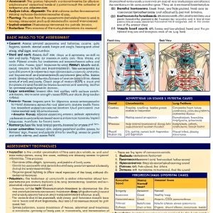 LPN & LVN Nursing Study Guide by QuickStudy Reference Guides-0