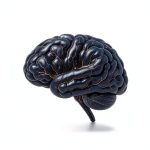 Psychology Pioneer Biography Kindle Edition by Author Name-0